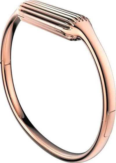 Bracelet Fitbit (L) pour Fitbit Flex 2 - coloris en description - TECIN HOLDING