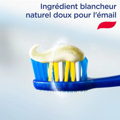ntifrice Système Blancheur SIGNAL Dentifrice Système Blancheur SIGNAL Dentifrice Système Blancheur SIGNAL Signal