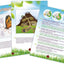 jouet pour enfant Buki Explorateur insectes Buki France