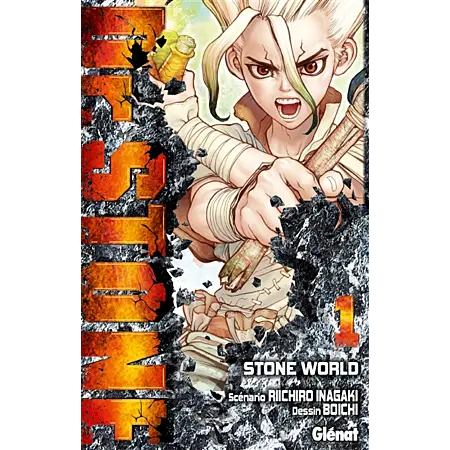 Dr. Stone - Tome 01 TEKIN.STORE votre plateforme généraliste