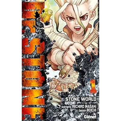 Dr. Stone - Tome 01 TEKIN.STORE votre plateforme généraliste