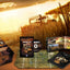Jeux vidéo Far Cry 2 - Édition Collector - PC - Occasion Ubisoft