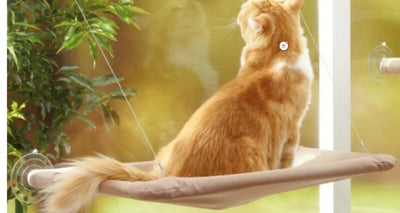 Accessoire animal Hamac / Couchage pour chat à fixer sur la fenêtre — Sunny Seat Sunny Seat