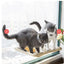 Accessoire animal Hamac / Couchage pour chat à fixer sur la fenêtre — Sunny Seat Sunny Seat