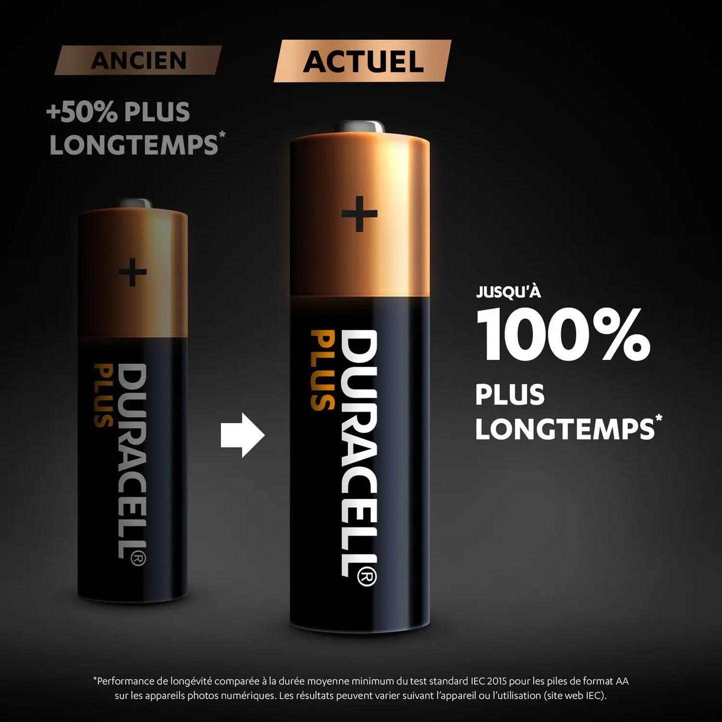 Pile Alcaline AA/LR6 1,5V MN1500 Plus DURACELL DURACELL