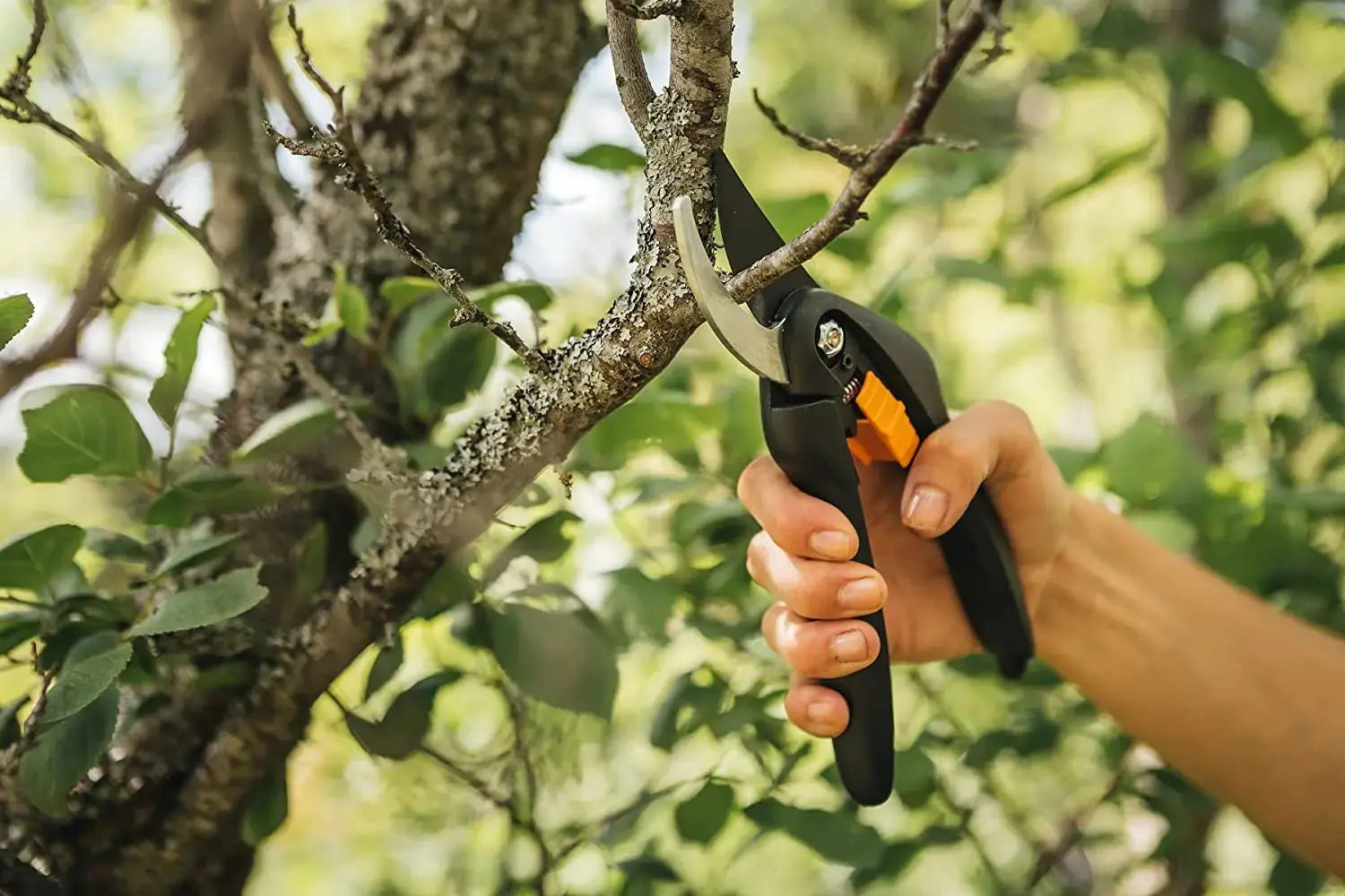Sécateur Fiskars SingleStep 111260 208 mm Bypass 1 pc(s) Bosch