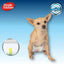 Hygiène chien Simple Solution Couches Enveloppantes Jetables pour Chien Mâle – Small – Paquet de 12 Simple Solution