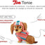 jouet Tonies Figurine Tonie La Pat'Patrouille Liberty tonies