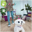 FURREAL furReal, GoGo mon chiot qui danse, jouet interactif, animal électronique dansant, plus de 50 sons et réaction FURREAL