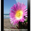 iPad retina Le nouvel IPad Noir Apple Computer, Inc