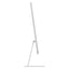 Apple iMac (2021) 24" 256 Go Argent (MGTF3FN) 0194252128718 APPLE