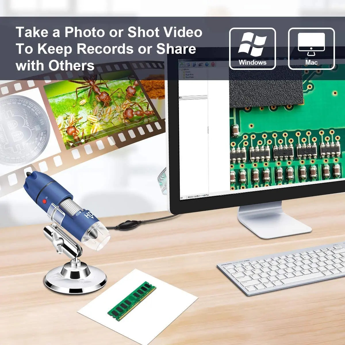 Microscope Numérique Enfant/Adulte, Loupe avec Un Écran de 4,3 Pouces et 8 LED, Grossissement 50x-1000x, Compatible avec Windows/Mac (306-B Microscope Numérique Enfant/Adulte, Loupe avec Un Écran de 4,3 Pouces et 8 LED, Grossissement 50x-1000x, Compatible avec Windows/Mac (306-B