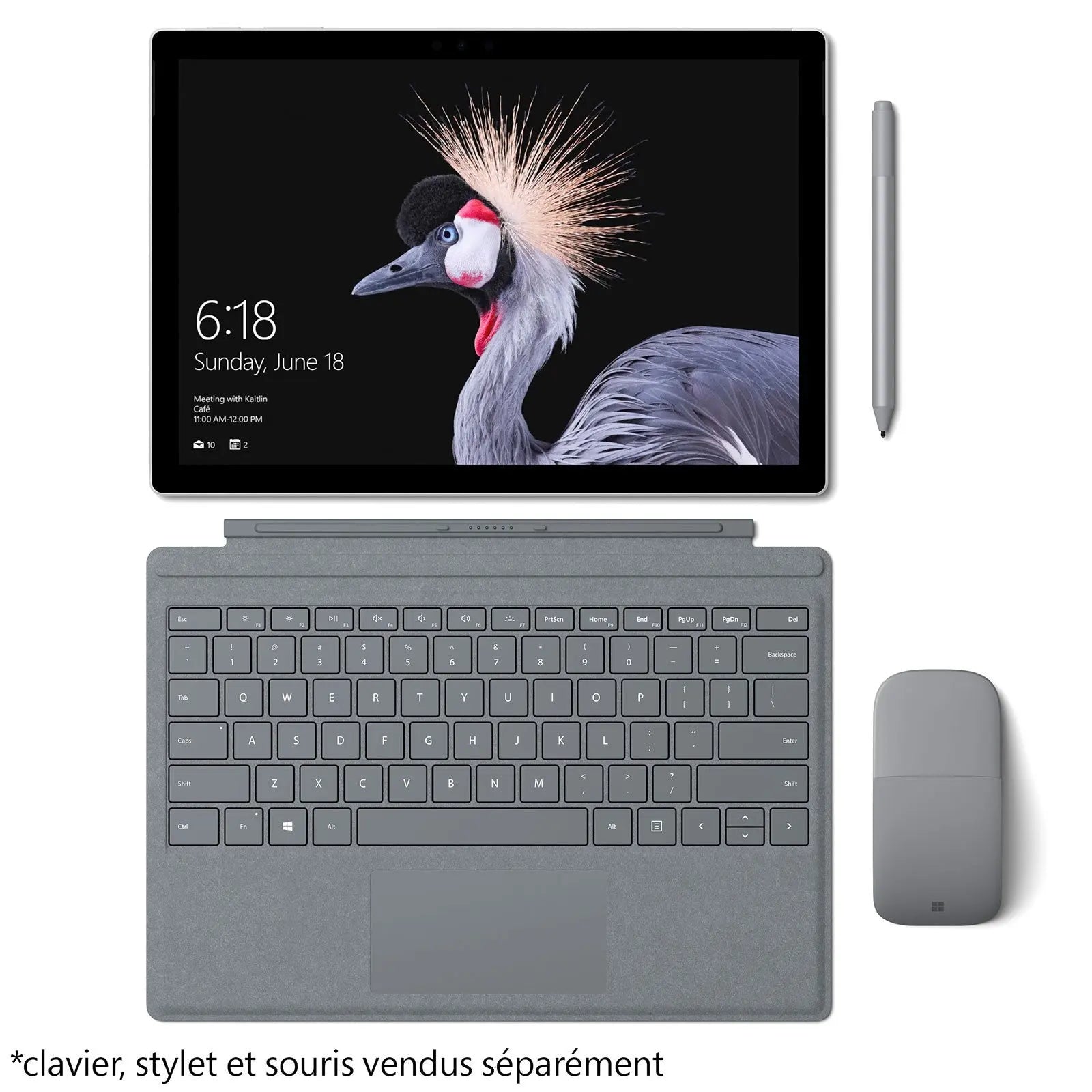 Microsoft Surface Pro - Intel Core i5 - 8 Go - 256 Go 0889842193213 Microsoft
