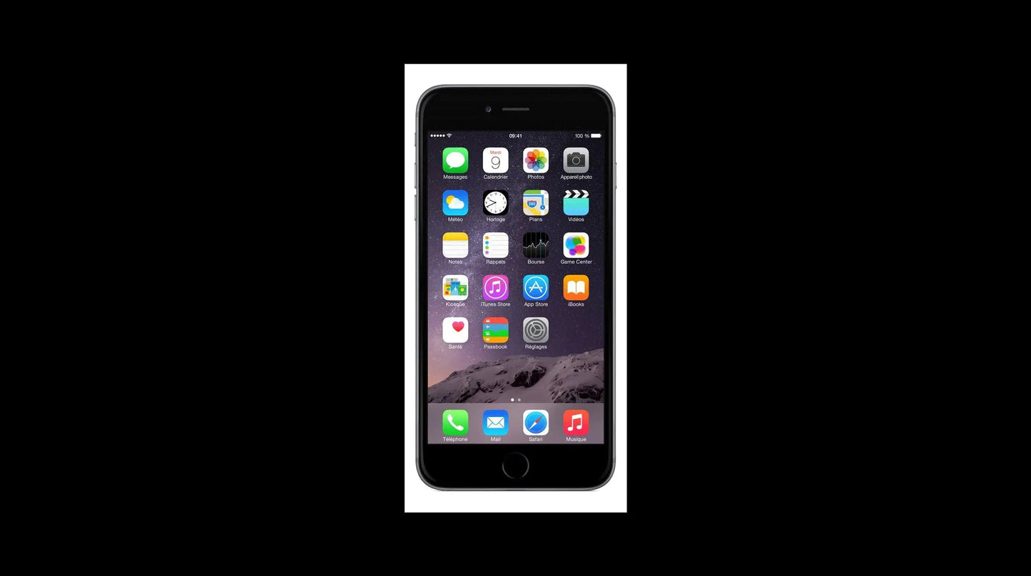 iPhone 6 Plus (gris sideral ) - 128 Go Apple Computer, Inc